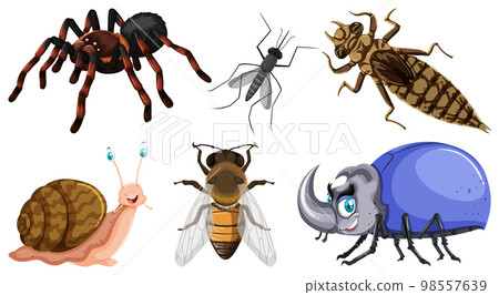Set of different kinds of insects 98557639