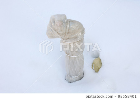 雪封，冬天封入，封入，外面，戶外，冬天，供水，結冰，雪，冬天對策，雪對策，北國，雪國，乙烯樹脂，水結冰 98558401