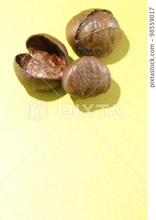 貝殼和甜栗子 貝殼和甜栗子 98559017