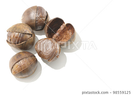 Photographing sweet chestnuts against a white background Photographing sweet chestnuts against a white background 98559125
