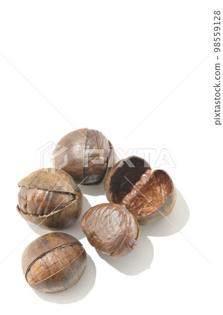 Photographing sweet chestnuts against a white background Photographing sweet chestnuts against a white background 98559128