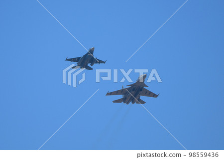 JASDF F-2B & Indian Air Force Sukhoi Su-30MKI 98559436