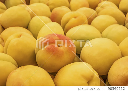 close up ripe apricots in a market close up ripe apricots in a market 98560232