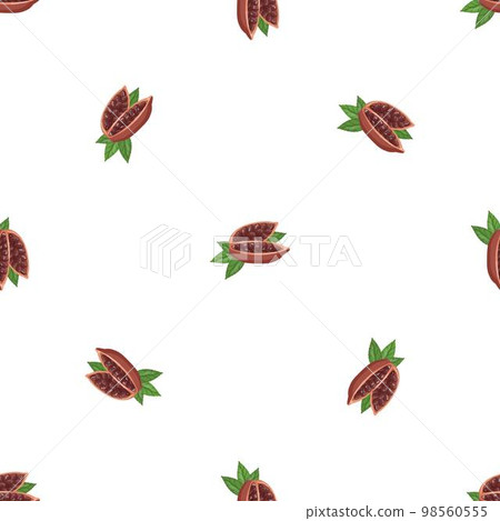 Cutted organic fruit cacao pattern seamless background texture repeat wallpaper geometric vector Cutted organic fruit cacao pattern seamless background texture repeat wallpaper geometric vector 98560555