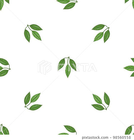 Cocoa leaf tree pattern seamless background texture repeat wallpaper geometric vector Cocoa leaf tree pattern seamless background texture repeat wallpaper geometric vector 98560558