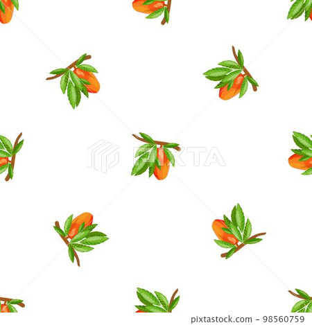 Mango branch pattern seamless background texture repeat wallpaper geometric vector Mango branch pattern seamless background texture repeat wallpaper geometric vector 98560759