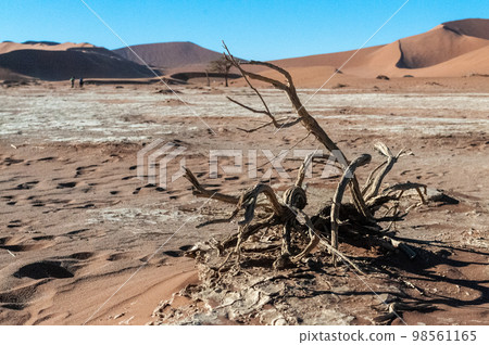 Barren landscape near Deadvlei and sossusvlei 98561165