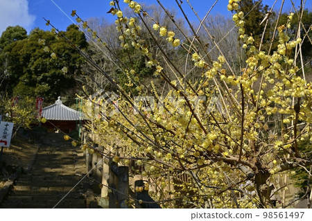栃木縣大平町清水寺魯梅庭觀音堂 栃木縣大平町清水寺魯梅庭觀音堂 98561497