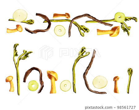 Hand drawn watercolor wild vegetable illustration one point line set 98561727