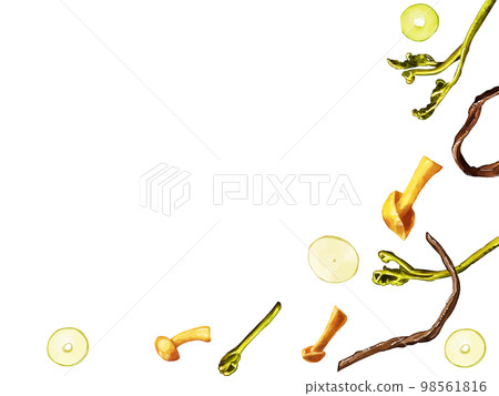 Hand-painted watercolor wild vegetable illustration rectangular frame/lower right Hand-painted watercolor wild vegetable illustration rectangular frame/lower right 98561816