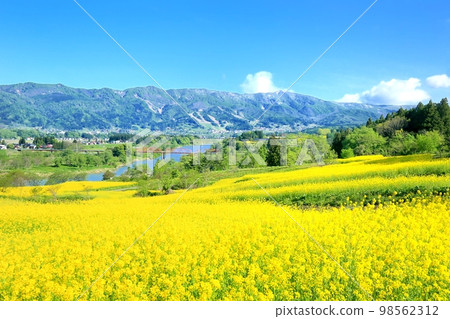 Iiyama and Rape Park Iiyama and Rape Park 98562312