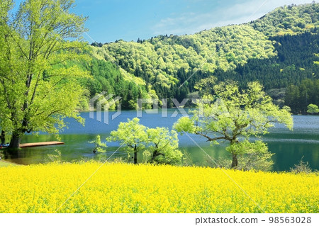 Spring Huronong Lake Spring Huronong Lake 98563028