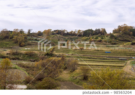 稻淵梯田風光【梯田100強】奈良縣高市郡飛鳥村 98563204