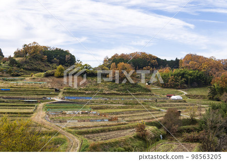 日本原汁原味的稻淵梯田【梯田100強】奈良縣高市郡明日香村 98563205