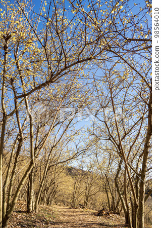 松田町Yadoriki Robai花園 98564010