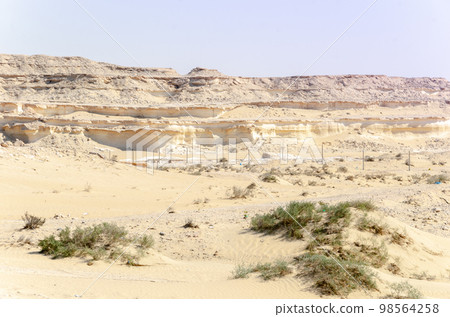Bu Salwa Shelf Hills Desert landscape with limestone hillocks in the background 98564258