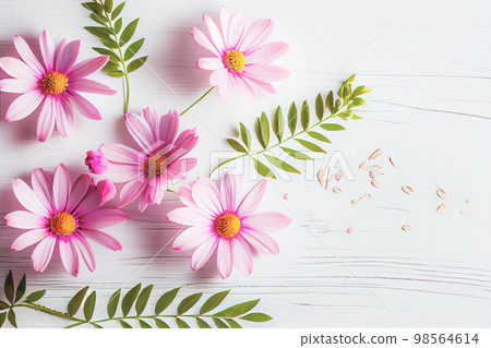 Beautiful pink flowers on white wooden background, Valentine's day concept with copy space Beautiful pink flowers on white wooden background, Valentine's day concept with copy space 98564614
