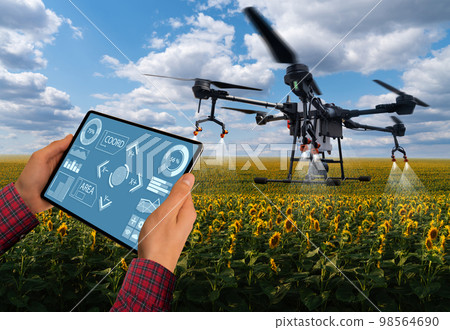 Farmer controls drone sprayer with a tablet. Farmer controls drone sprayer with a tablet. 98564690