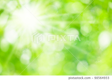 新鮮的綠色陽光 98564933