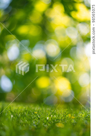 Blurred natural green spring and summer background Blurred natural green spring and summer background 98565075