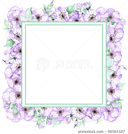 Handdrawn anemone frame. Watercolor wind flower on the white background. Scrapbook design elements. Typography poster, wedding card, label, banner design set. Handdrawn anemone frame. Watercolor wind flower on the white background. Scrapbook design elements. Typography poster, wedding card, label, banner design set. 98565387