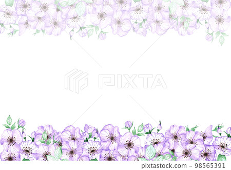 Handdrawn anemone frame. Watercolor wind flower on the white background. Scrapbook design elements. Typography poster, wedding card, label, banner design set. 98565391