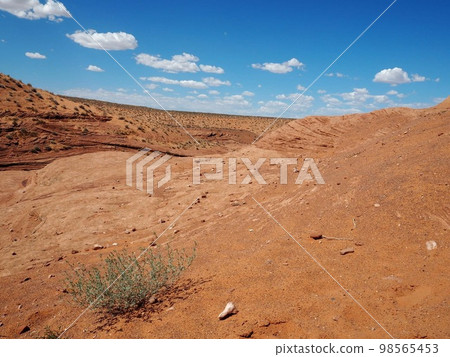 科羅拉多州一望無際的荒野 98565453