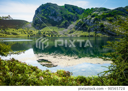 Lake Enol in Picos de Europa, Asturias, Spain Lake Enol in Picos de Europa, Asturias, Spain 98565728