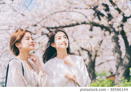 女性（朋友）櫻花景點觀光 98566144