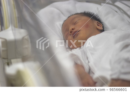 由於早產而在保溫箱中的嬰兒的上半身（新生兒，日本人，男孩） 98566601