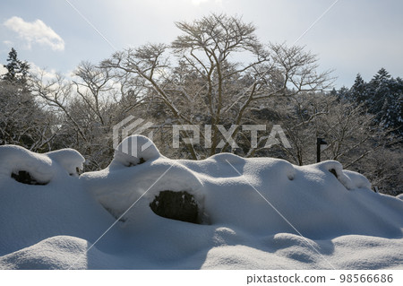 從中尊寺坂上停車場看到的雪景（岩手縣） 98566686