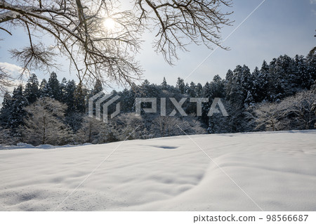 The silver world seen from the Sakanoue parking lot of Chusonji Temple (Iwate Prefecture) 98566687