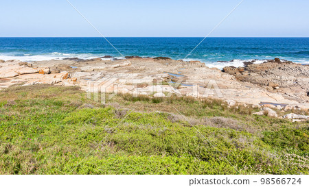 Ocean Rocky Coast Green Blue Water  Landscape 98566724