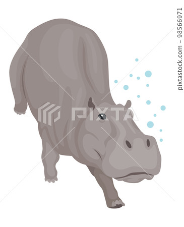 Hippo. Hippopotamus cartoon character. African animal, zoo and wildlife concept. Large gray wild creature walking on white background 98566971