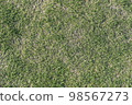 草坪的一側 98567273