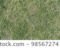 草坪的一側 98567274