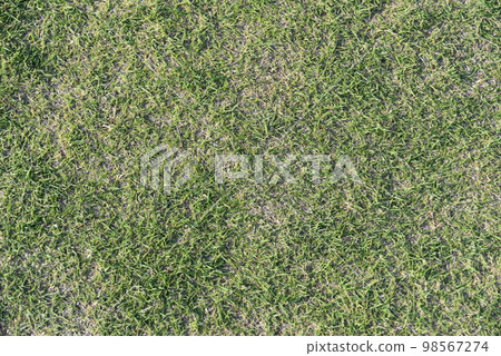 One side of the lawn 98567274