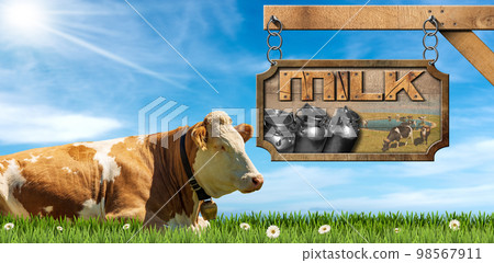 Dairy Cow and Wooden Sign with Text Milk on a Green Pasture Dairy Cow and Wooden Sign with Text Milk on a Green Pasture 98567911