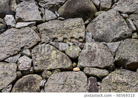 Old stone wall of the castle ruins 98569318