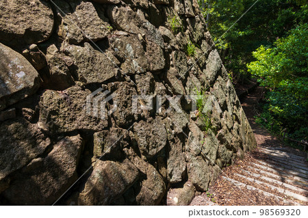 Old stone wall that remains in the ruins of the castle Old stone wall that remains in the ruins of the castle 98569320