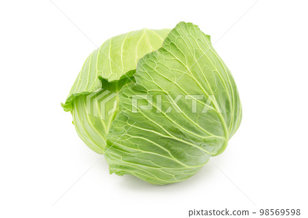 在白色後面的圓白菜 98569598