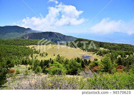 View of the Ikenotaira Marsh in early summer 98570628