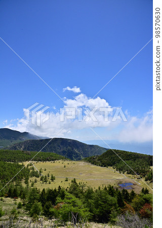 View of the Ikenotaira Marsh in early summer 98570630