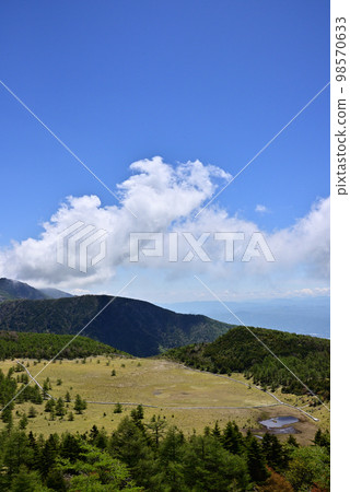 View of the Ikenotaira Marsh in early summer 98570633