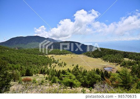 View of the Ikenotaira Marsh in early summer 98570635