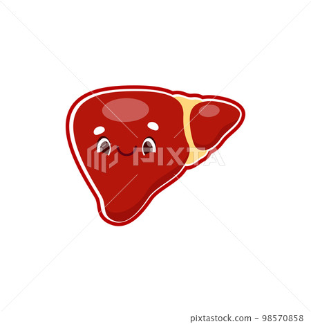 Cartoon liver human body organ character. Vector healthy internal organ, anatomical personage with cute smiling face. Health care, medicine for kids Cartoon liver human body organ character. Vector healthy internal organ, anatomical personage with cute smiling face. Health care, medicine for kids 98570858