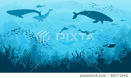 Underwater landscape, whales and dolphins in undersea, vector ocean deep background. Sperm whale and manta, seaweeds and corals with fish shoal silhouettes on ocean bottom or sea landscape 98571048