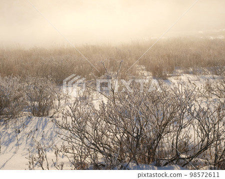 Snow scene Nagano Prefecture Kirigamine plateau Snow scene Nagano Prefecture Kirigamine plateau 98572611