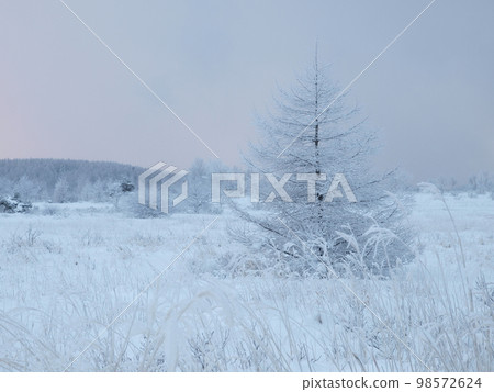 Snow scene Nagano Prefecture Kirigamine plateau Snow scene Nagano Prefecture Kirigamine plateau 98572624