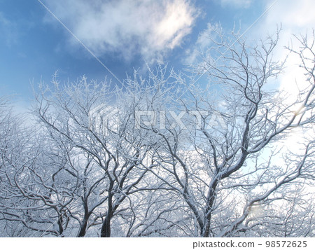 Snow scene Nagano Prefecture Kirigamine plateau Snow scene Nagano Prefecture Kirigamine plateau 98572625